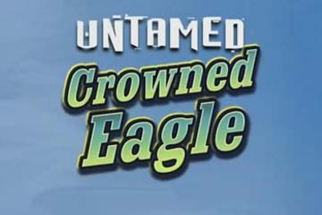 Untamed-Crowned-Eagle-Slot