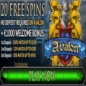Indonesian Online Casino No Deposit Bonus